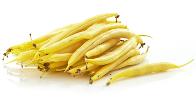 Gold Play French Bean Variety from Royal Seed