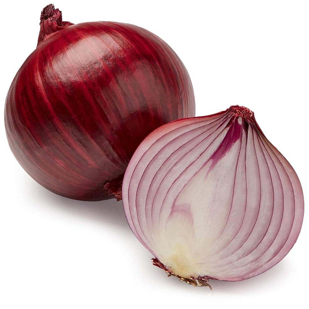 Bombay Red Onion variety from Royal Seed