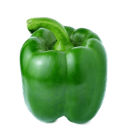 Buffalo F1 Sweet Pepper variety from Royal Seed