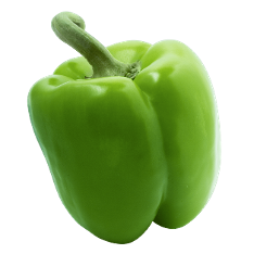 Plant California Wonder Sweet Pepper Seeds from Royal Seed and Enjoy Iconic Peppers. Order Your Seeds