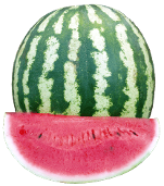 Crimson Sweet Watermelon Variety from Royal Seed