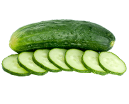 Ashley Cucumber variety from Royal Seed