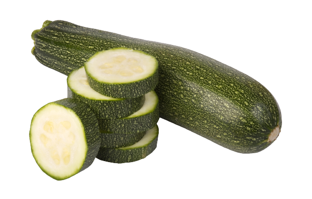 Green Zucchini squash  variety from Royal Seed