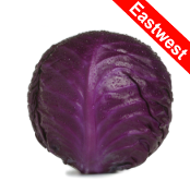 Kifaru F1 Cabbage variety from Royal Seed