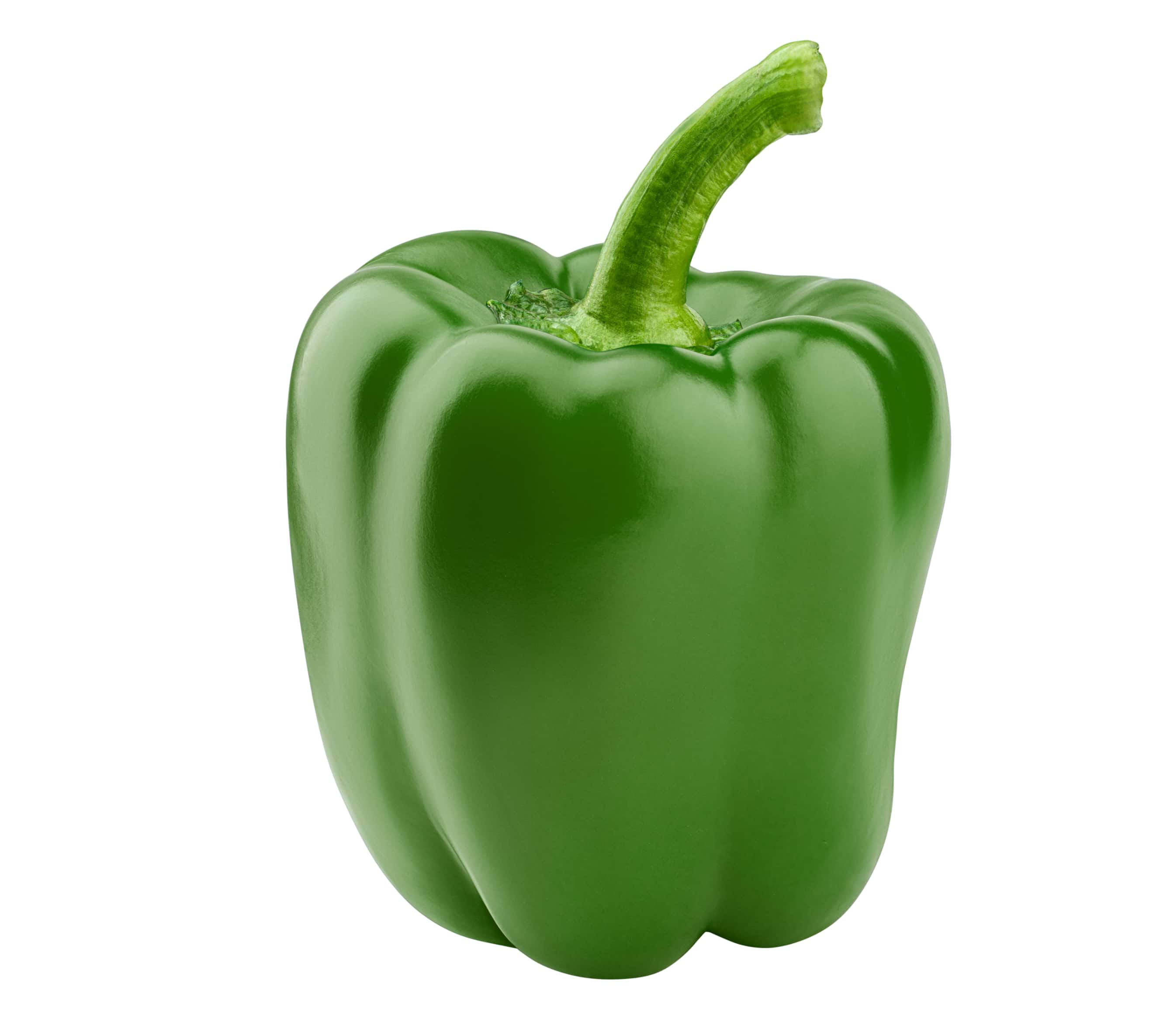 Maxibell Sweet Pepper variety from Royal Seed