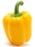Minerva Sweet Pepper variety from Royal Seed