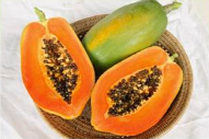 Vega F1 papaya variety from Royal Seed