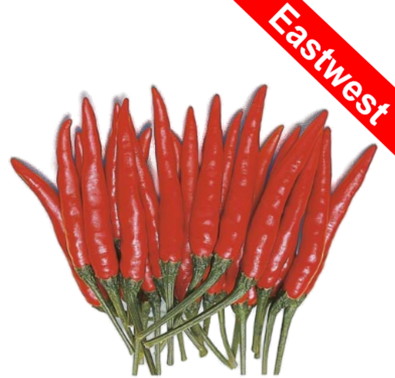 Red Demon  Hot Pepper variety from Royal Seed
