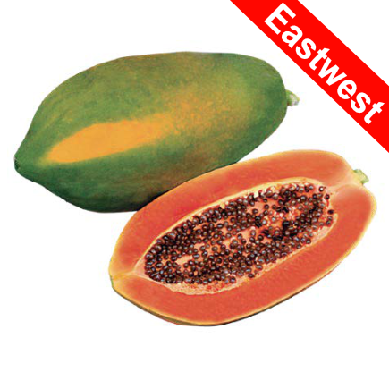 Red Royale papaya variety from Royal Seed