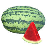 Sweet Queen Watermelon from Royal Seed