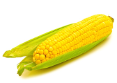 Sweetcorn Hybrid F1 variety from Royal Seed 
