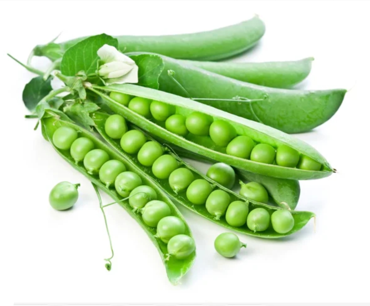Somerwood Garden pea variety from Royal Seed 