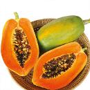 Royal Seed's Papaya Seed Selection: Cultivate delicious papayas with our high-quality seeds. Click to explore our papaya offerings and start your tropical farm journey.