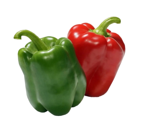 Yolo Wonder Sweet Pepper from Royal Seed. Vibrant and Delicious Peppers for Your farm. Buy Seeds Now