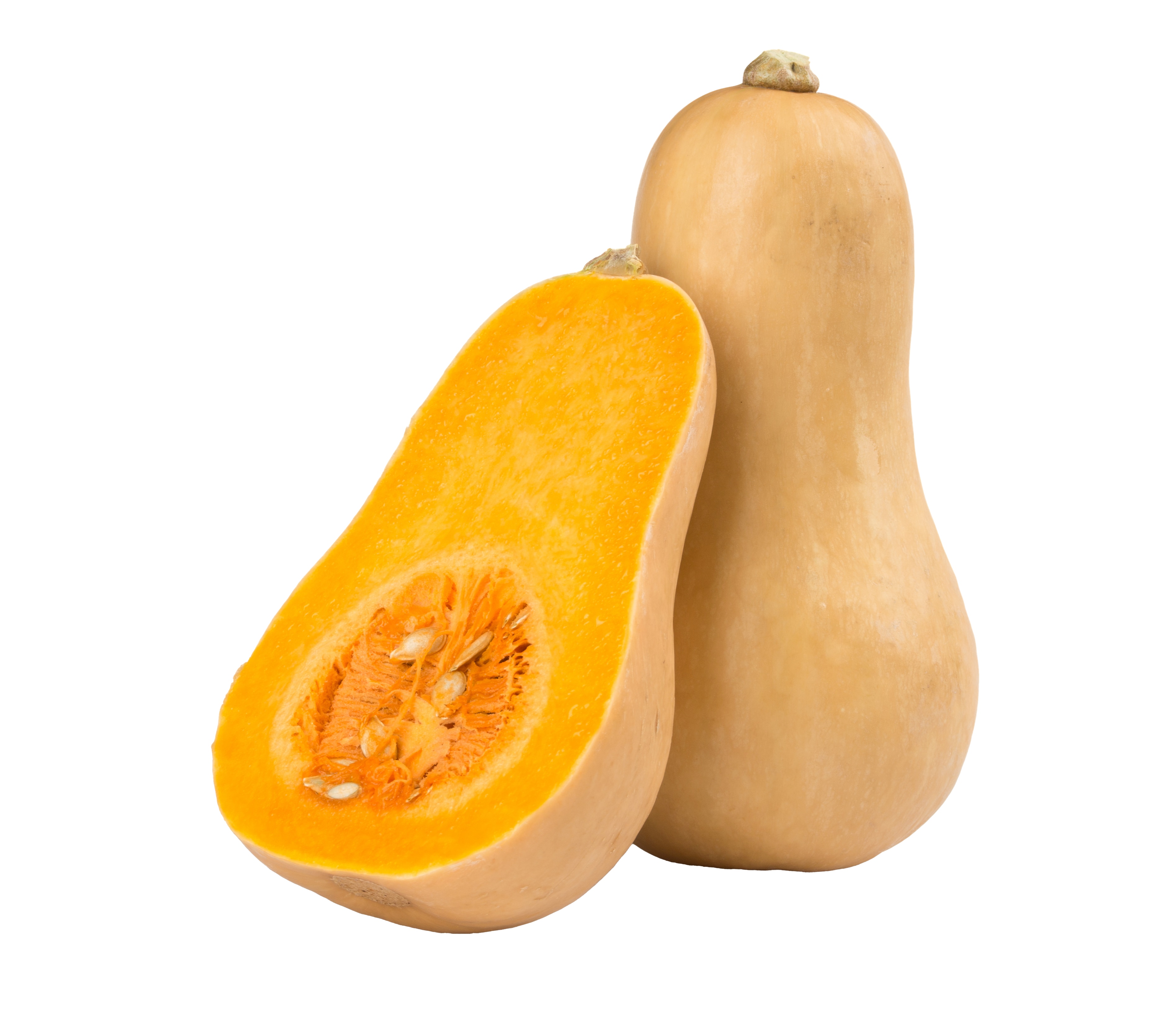 Waltham Butternut Variety from Royal Seed