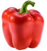 Kori F1 Sweet Pepper variety from Royal Seed