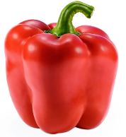 Kori F1 Sweet Pepper variety from Royal Seed