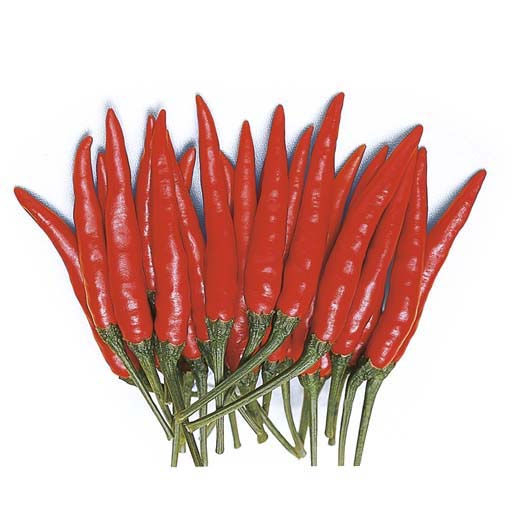 Explore Royal Seed's Hot Pepper Seeds: From mild to fiery, our hot pepper seeds cater to all spice preferences. Click to visit our hot pepper page and choose your ideal varieties.