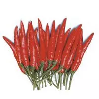 Hot Peppers