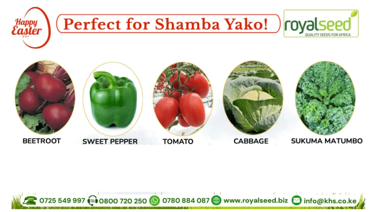 Royal Seed April Theme