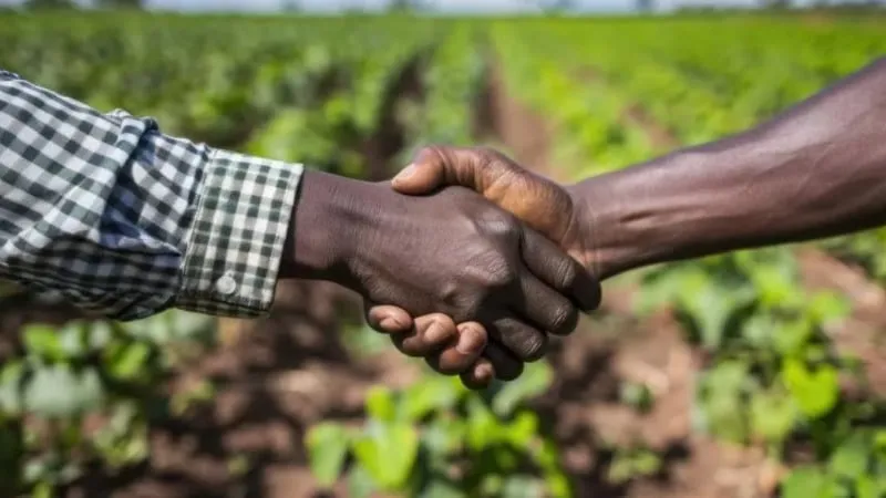 Royal Seed partnership with farmers