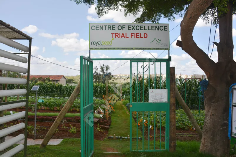 Awared 1st Runners Up for Best Booth at Argitech Grand Expo 2025