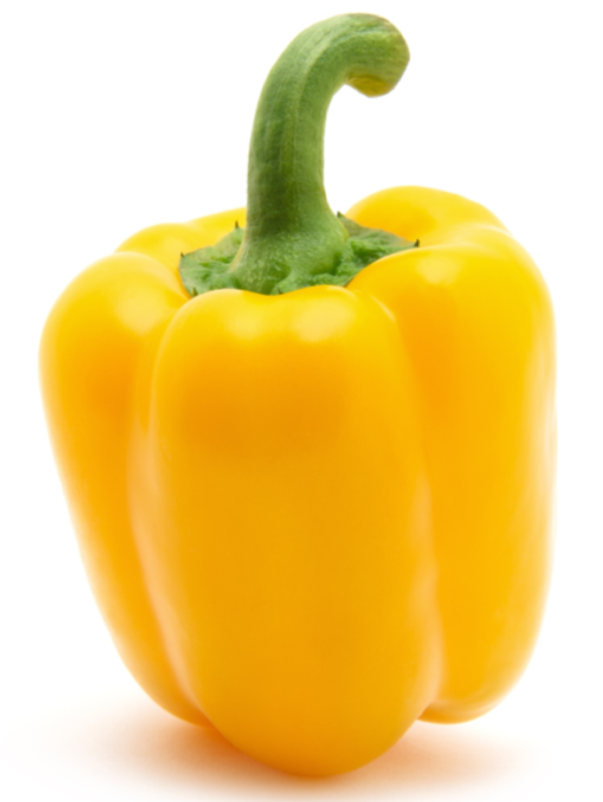 Minerva F1 Sweet pepper variety from Royal Seed