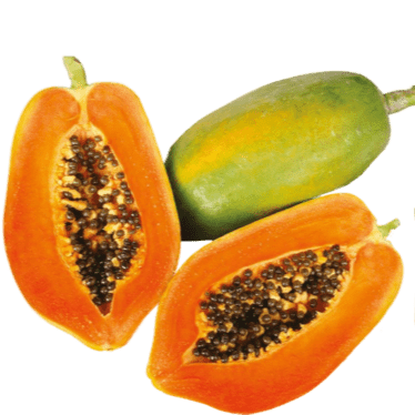 Vega F1 papaya Variety from Royal Seed