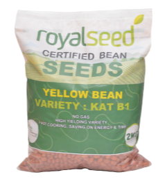 Nyota Beans  bean Variety from Royal Seed’s Latest Range