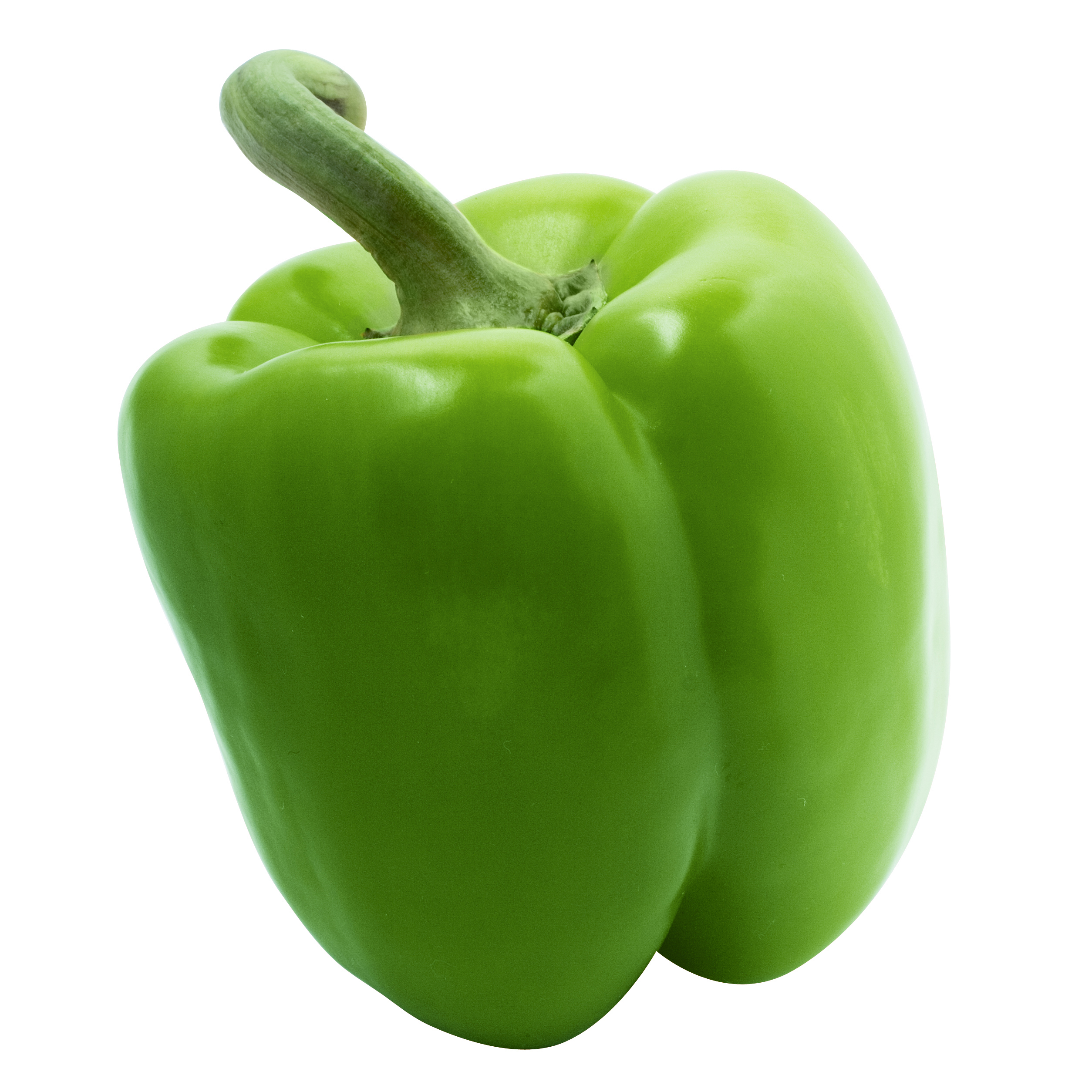 Maxibell Sweet pepper variety from Royal Seed