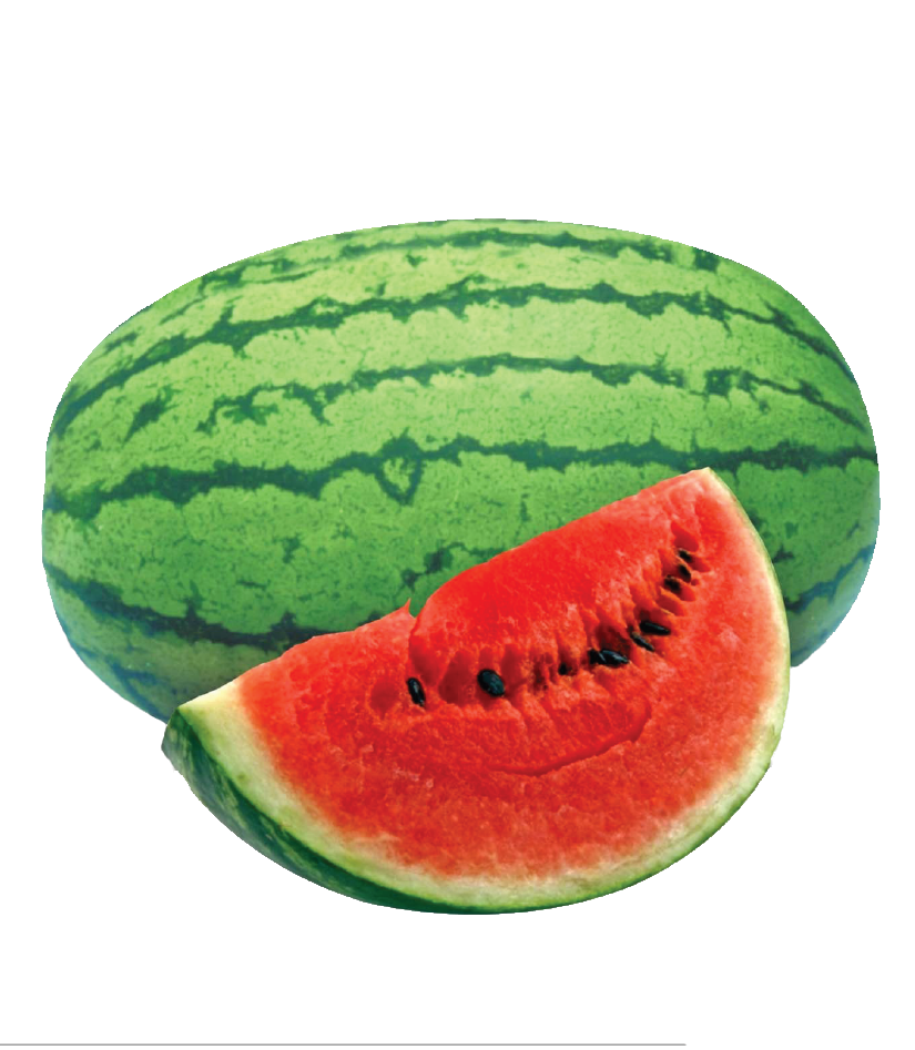 Asali F1 watermelon variety from Royal Seed