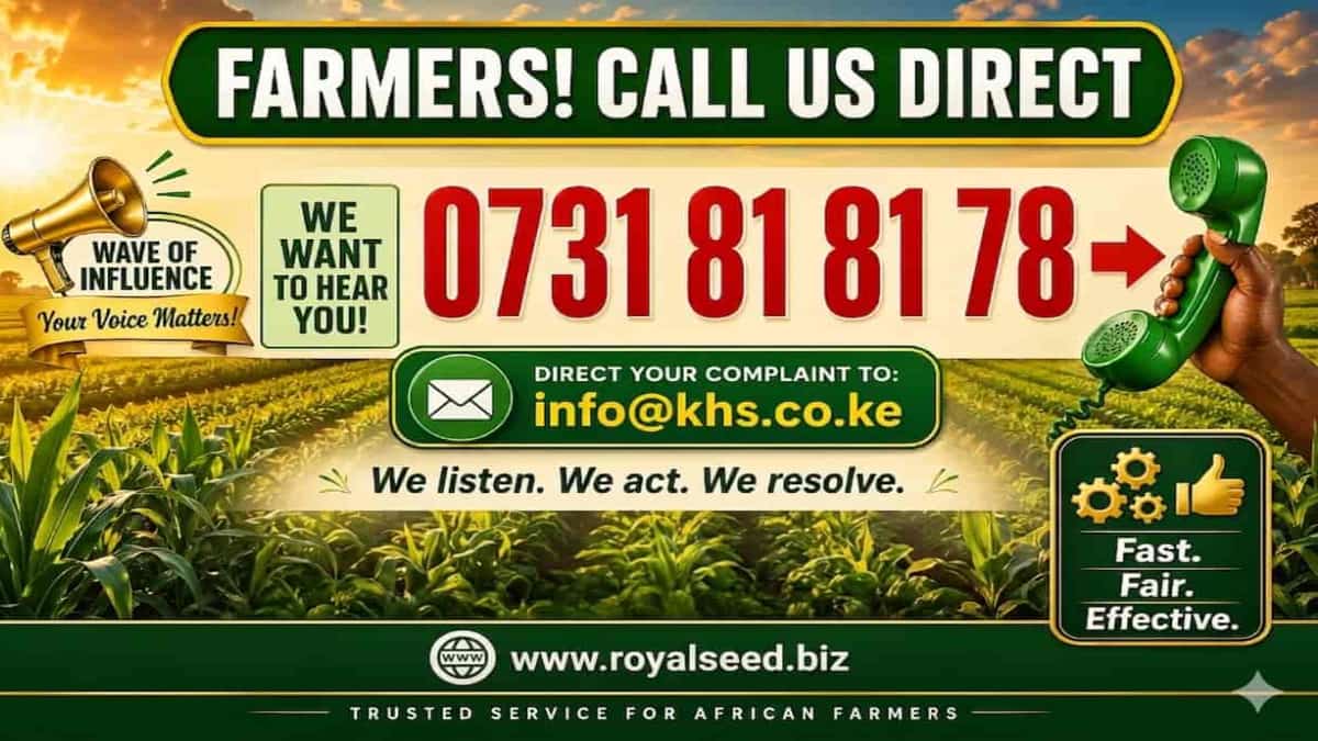 Premium Seed Selection