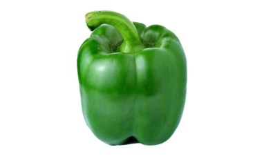 Sweet Pepper – High-Quality Pepper Seeds from Royal Seed