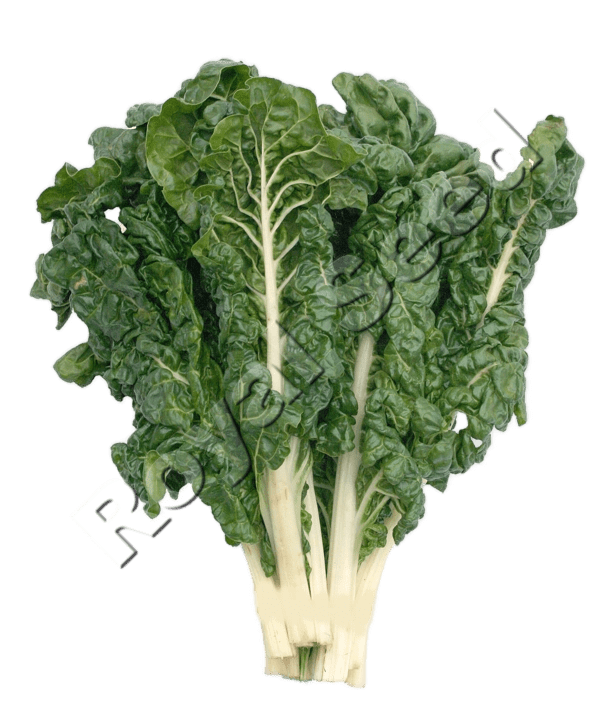 Spinach Fordhook leafy variety from Royal Seed