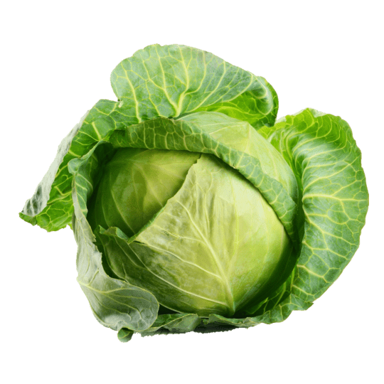 Fresh Cabbage – High-Quality Vegetable from Royal Seed