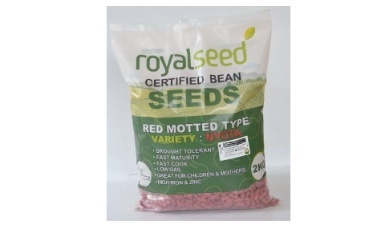 Nyota Beans  bean Variety from Royal Seed’s Latest Range
