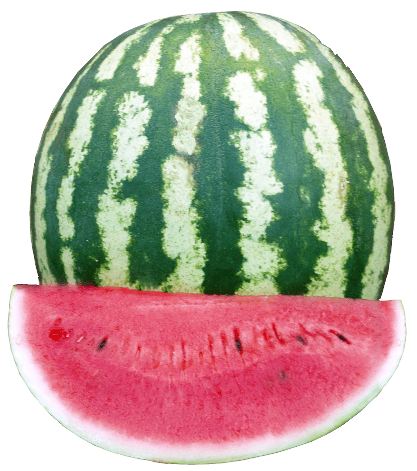 Crimson Sweet watermelon from Royal Seed