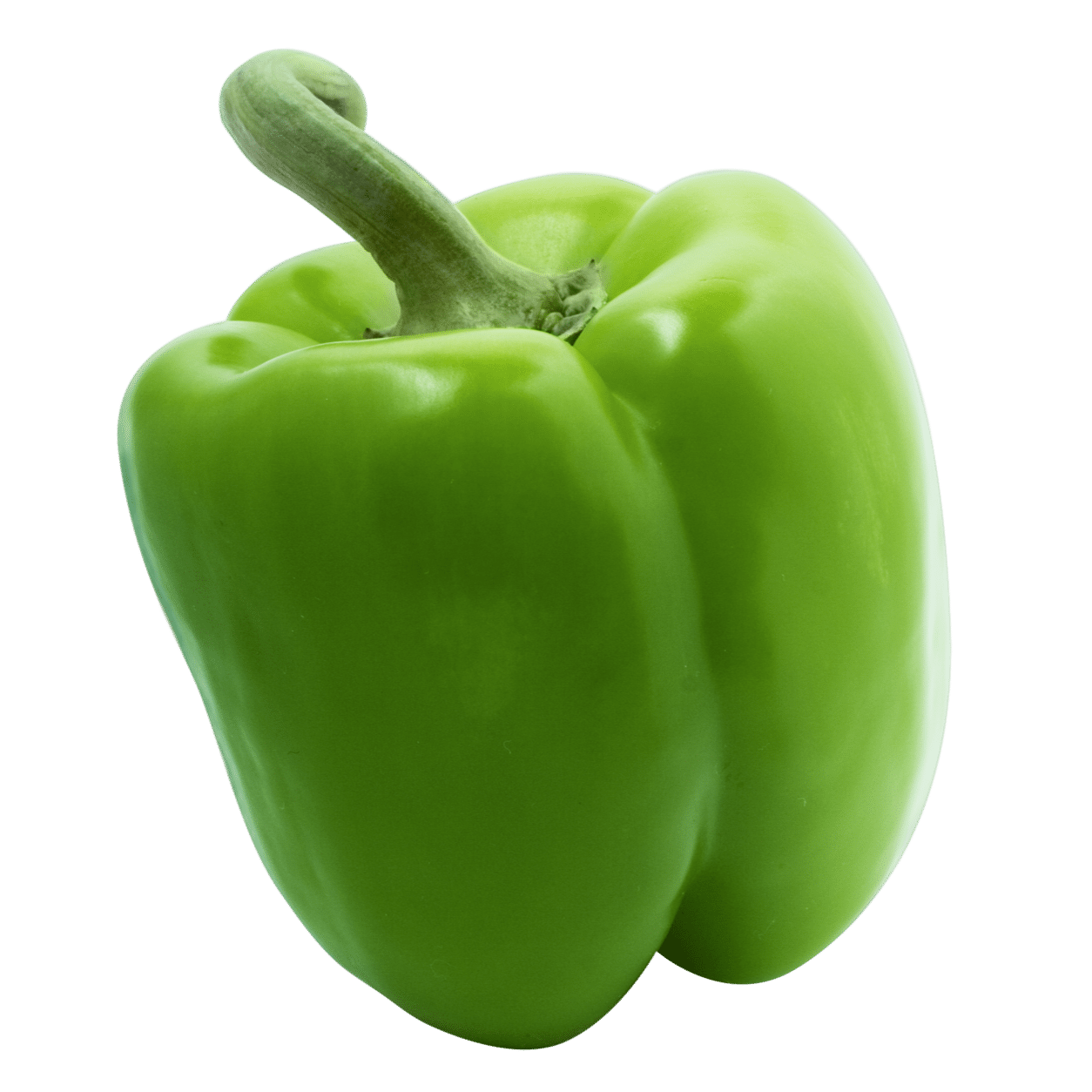 Califonia Wonder Sweet pepper variety from Royal Seed