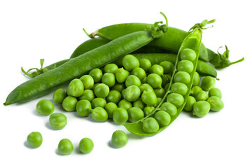 Greenfeast Pea variety from Royal Seed