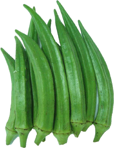 Okra Clemson Spinless asian veggies variety from Royal Seed