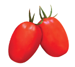 Harmony  F1 tomato variety from Royal Seed