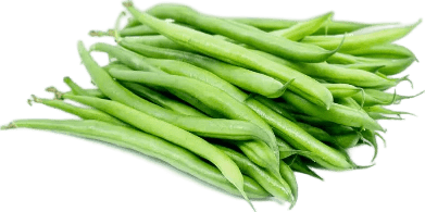 Fresh French Beans – High-Yield Bean Seeds from Royal Seed