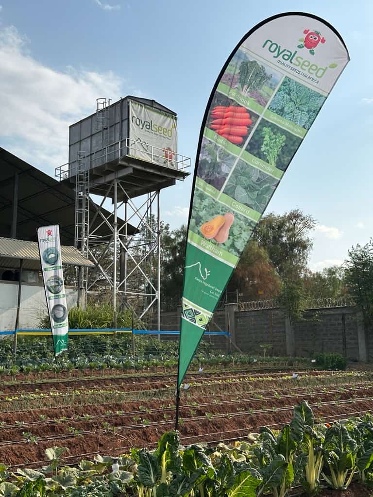 Green House at Royal Seed Complex