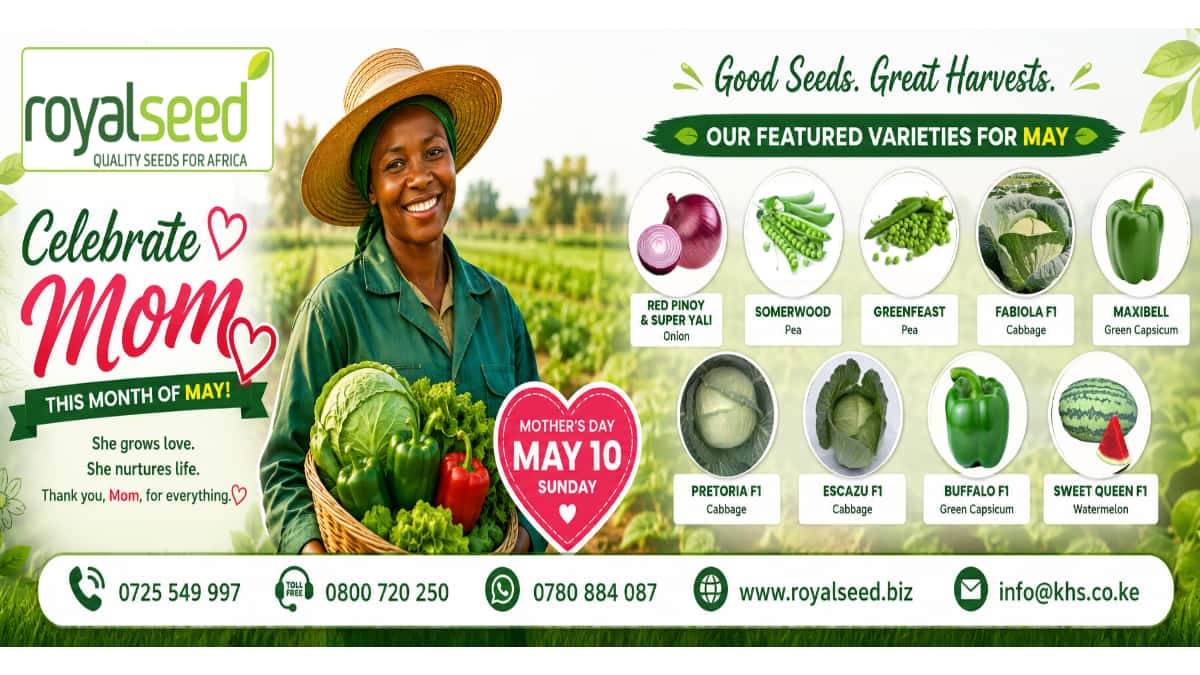 Our May Theme