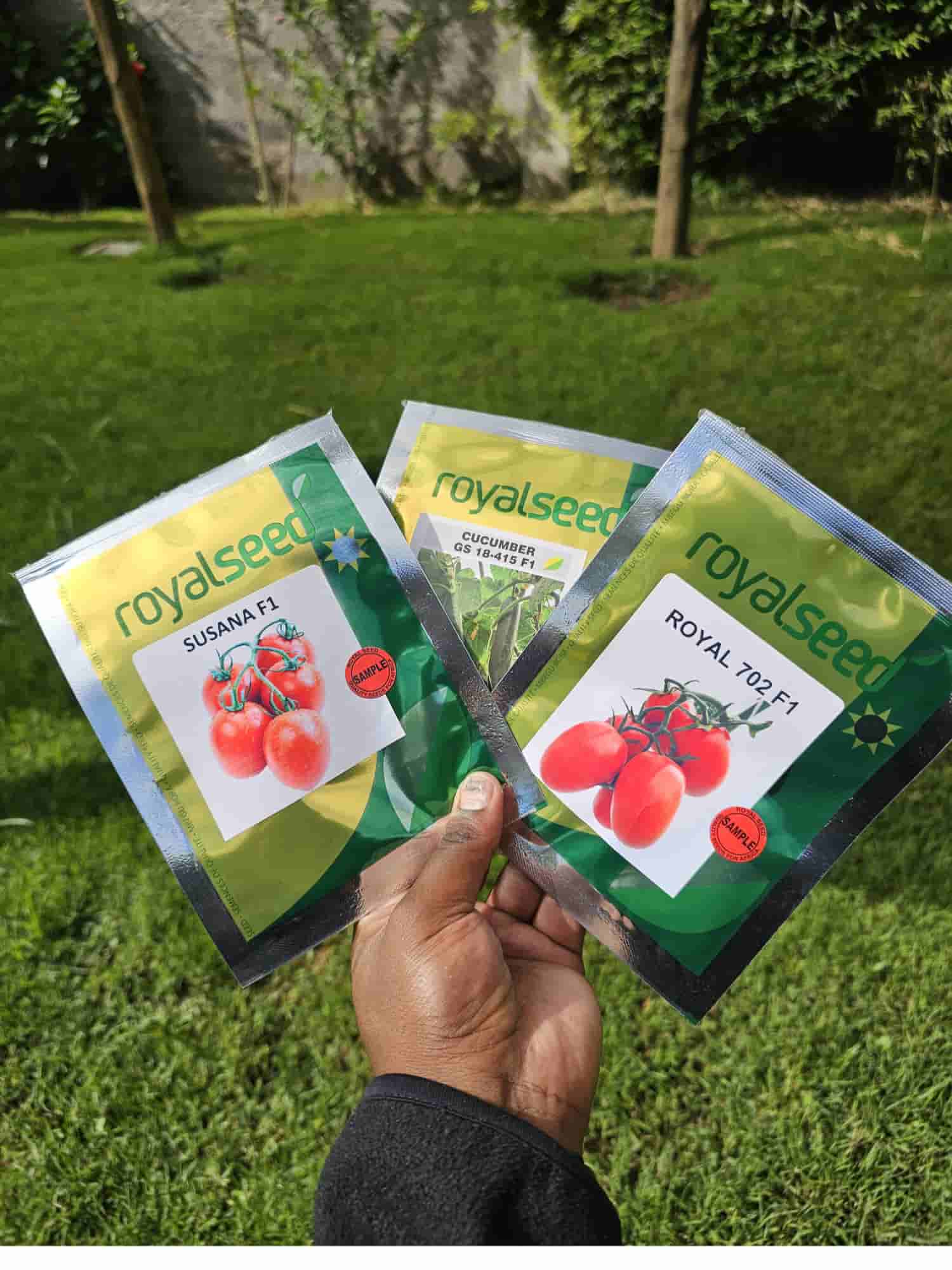 Royal Seed variety photo 