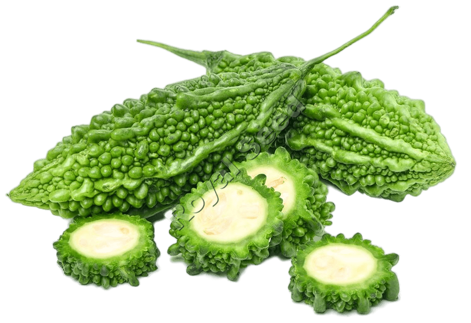 Palee F1 hybrid bitter gourd variety from Royal Seed Kenya