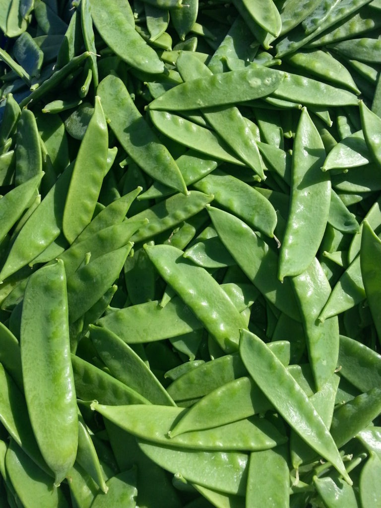 Snow pea harvest from farmer