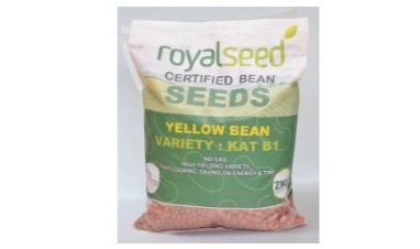 Royal Yellow Beans  bean Variety from Royal Seed’s Latest Range