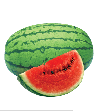 Asali F1 watermelon variety from Royal Seed