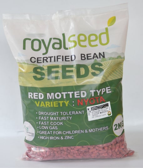 Nyota Beans  bean Variety from Royal Seed’s Latest Range